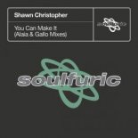 Shawn Christopher - You Can Make It (Alaia & Gallo Extended Remix)