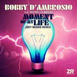 Bobby D'Ambrosio, Michelle Weeks - Moment of My Life (JN Closer To The Source Mix)