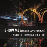 Andy Schirmer & Rick Cue - Show Ne (What Is Love Tonight)