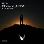 2Sonic - The Crazy Little Things (SkiDropz Remix)