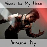 Spanish Fly (feat Aki Starr) - Voices In My Head (Jay Alams Extended Club Remix)