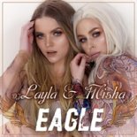 DJ Layla & Misha - Eagle (Radu Sirbu Remix)