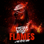 Freaks'n'Beatz feat. Sam Stray Wood - Flames (Club Mix)