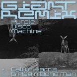 Calvin Harris Rag'n'Bone Man - Giant (Purple Disco Machine Extended Remix)
