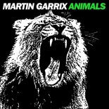 Martin Garrix - Animals (Hover & Sykes Bootleg)