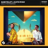 Sam Feldt & Kate Ryan - Gold (Tobtok Extended Remix)