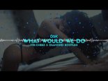 DSK - WHAT WOULD WE DO (MR.CHEEZ & DIAMOND BOOTLEG)