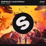 Sam Feldt x Alex Schulz - Be My Lover (Sergey Raf & Artemio Remix)