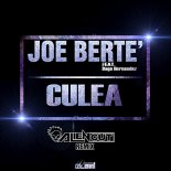 Joe Berte feat. Dago Hernandez - Culea (Alien Cut Radio Edit Remix)