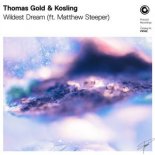 Thomas Gold & Kosling feat. Matthew Steeper - Wildest Dream (Extended Mix)