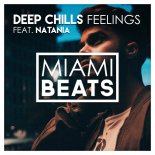 Deep Chills feat. Natania - Feelings