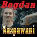 Naspawani - Bogdan
