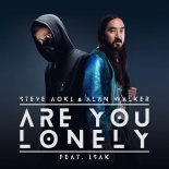 Steve Aoki & Alan Walker feat. Isak - Are You Lonely (SHUMSKIY remix)