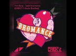 Tim Berg - Seek Bromance (DREK'S Tribute Bootleg)