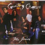 Counting Crows - Mr Jones (Jameson Alexander Remix)