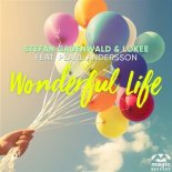 Stefan Gruenwald & Lokee Feat. Pearl Andersson - Wonderful Life (Radio Edit)