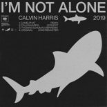 Calvin Harris - I'm Not Alone (Thomas Schumacher Remix)