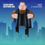Calvin Harris & Rag'n'Bone Man - Giant (DJ Stranger Remix)