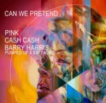 P!nk feat. Cash Cash - Can We Pretend (Barry Harris Pumped Up Mix)