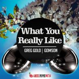 Greg Gold & Gomson - What You Really Like (Radio Edit)