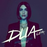 Dua Lipa - Swan Song (aboutagirl Remix)
