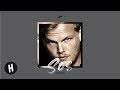 Avicii Ft. Aloe Blacc - SOS (Heyder Extended Mix)