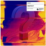 Kideko - What Is It (Extended Mix)