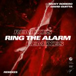 Nicky Romero & David Guetta - Ring The Alarm (Teamworx Remix)
