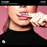 Tujamo - Say What You Wanna (Mizmo Remix)