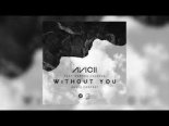 Avicii feat. Sandro Cavazza - Without You (Airwaze Tribute Bootleg Mix Edit)