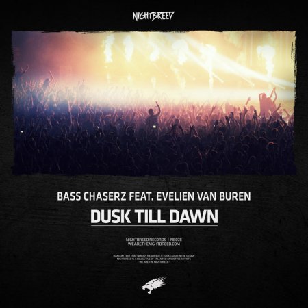 Bass Chaserz Feat. Evelien Van Buren - Dusk Till Dawn (Extended Mix)
