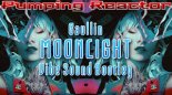 Gaullin - Moonlight (Vibe Sound Bootleg 2019)