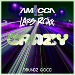 AMIICCA & Lars Roxx - Crazy
