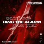 Nicky Romero & David Guetta - Ring The Alarm (Sam Void Extended Remix)