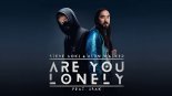 Steve Aoki And Alan Walker Feat. Isak - Are You Lonely (Crash & Smash Bootleg)