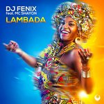 DJ Fenix feat. Mc Shayon - Lambada