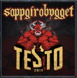 Soppgirobygget - Testo 2019