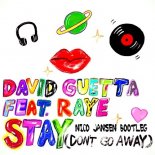 David Guetta feat Raye - Stay (Nico Jansen Bootleg)