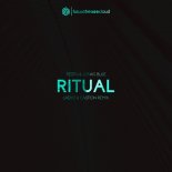 Tiesto, Jonas Blue & Rita Ora - Ritual (Laeko & Castion Remix)