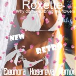 Roxette - Why Don't You Bring Me Flowers (Eleonora Kosareva Remix)