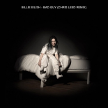 Billie Eilish - Bad Guy (Chris Leed Remix)