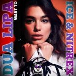 Dua Lipa x Ice & Nitrex - Want To (SAlANDIR Radio Version)