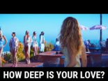 Calvin Harris & Disciples - How Deep Is Your Love (Vitaliy Lukenenko Remix)