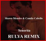 Shawn Mendes & Camila Cabello - Señorita (Rulya Remix)