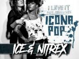 Icona Pop feat. Charli XCX - I Love It (Ice & Nitrex Radio Remix)
