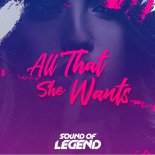 Sound Of Legend - All That She Wants (Original Mix)