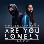 Steve Aoki & Alan Walker - Are You Lonely feat. ISAK (HELVYN Bootleg)