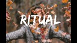 Tiesto, Jonas Blue & Rita Ora - Ritual (Froba & John Sandberg Remix)