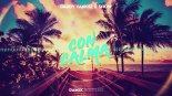 Daddy Yankee & Snow - Con Calma (Damix Bootleg)