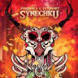Pondora, Vermont (BR) - Synechku (Original Mix)